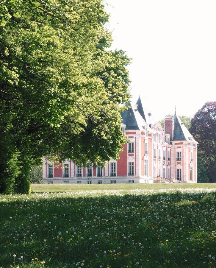Chateau Du Domaine Du Reveillon Entrains-sur-Nohain 外观 照片